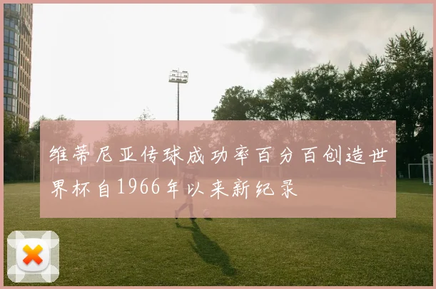 维蒂尼亚传球成功率百分百创造世界杯自1966年以来新纪录