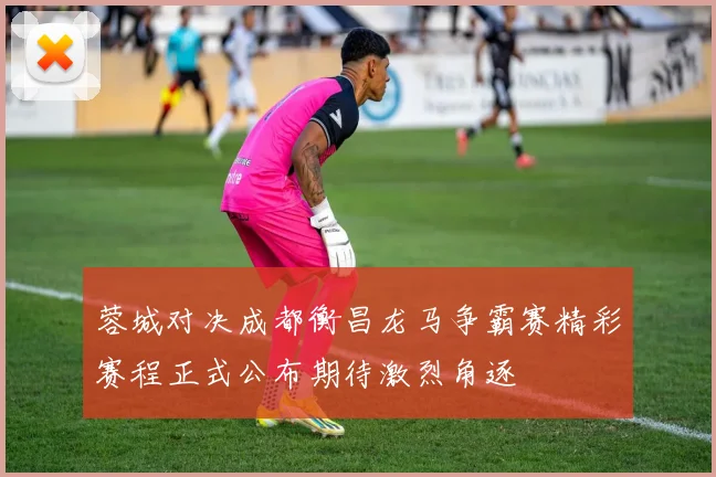 蓉城对决成都衡昌龙马争霸赛精彩赛程正式公布期待激烈角逐